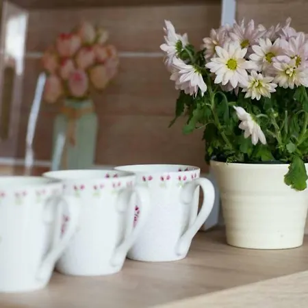 Διαμέρισμα Apartmenthaus Lieselotte Ramsau am Dachstein